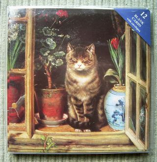 Cat In A Cottage Window Box 12 Blank Cards / Envelopes Museums & Galleries 1998