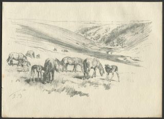 Lionel Edwards Horses Grazing In Meadow 1929 Vintage Print Of Pencil Sketch