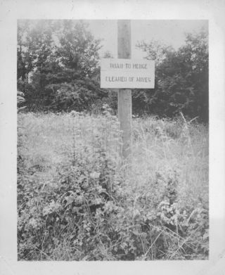 Wwii Summer 1944 Us Army 35th Evac Hosp France Photo Road To Hedge Cleared Mines