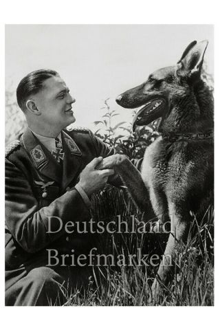 Germany Third Reich German Shepard Dog Soldier Wehrmacht Luftwaffe Ww2 Photo
