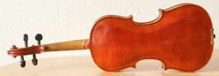 Very Old Labelled Vintage Violin " E Tom Carcassi " Fiddle 小提琴 ヴァイオリン Geige