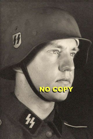 Ww2 German Portrait Photo (elite Soldier W/m40 Helmet Made By Quist) 219