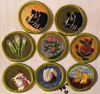 Boy Scout Merit Badges,  Set Of 8,  Bsa,  Historical Collectibles 6