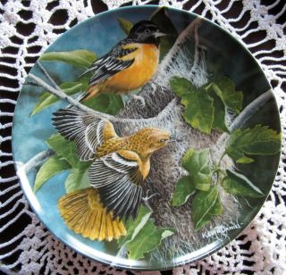 Knowles Encyclopaedia Britannica Birds Of Your Garden Plate Baltimore Oriole 