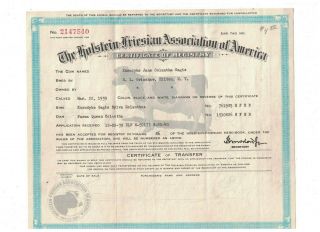 Holstein Friesian Association Of America 1939 Certificate Of Registry
