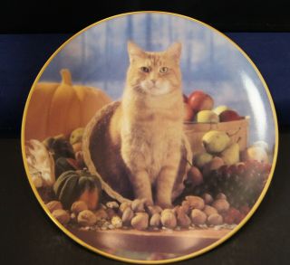 Morris The Cat 1993 Vintage Plate Autumn Bounty
