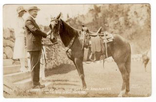 Rppc President Calvin Coolidge & Grace,  W/his Horse,  Black Hills,  S.  D. ,  1927