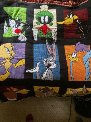 Warner Brothers Vintage Looney Tunes Throw Blanket 1996 Tweety Taz Tweety Bird
