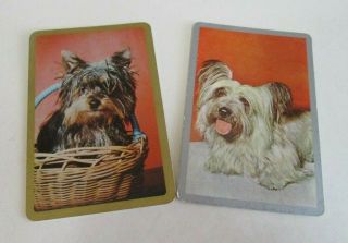Vintage Yorkshire Terrier Dogs Swap Cards - Silver And Gold Frames/edges - 1970s