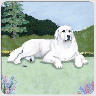 Great Pyrenees Coasters - Set Of 4