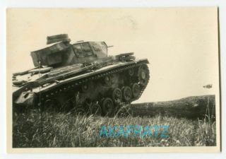German Ww2 Photo,  Panzer Iii Commander 