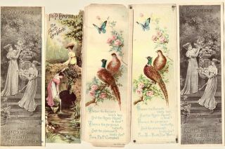 Orig 5 X 1890s/1901 Bookmarks P & P Campbell,  Perth Dye Advertising Double