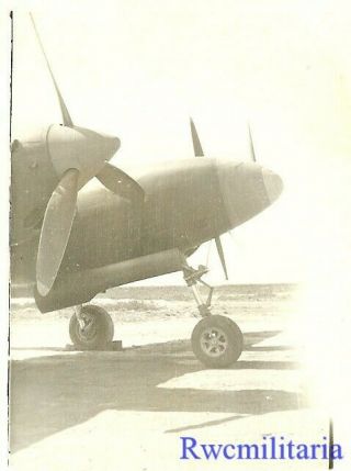 Org.  Photo: F - 5 Recon Plane (p - 38 Variant) Parked On Airfield