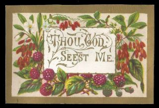 Y01 - Victorian Religious Scripture Motto Card - Thou God Seest Me