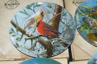 Set of 6 Collector Plates Kevin Daniels Britannica Birds of Your Garden MIB 2