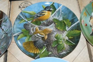 Set of 6 Collector Plates Kevin Daniels Britannica Birds of Your Garden MIB 3