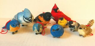 Set Of 9 Bird Ornaments Table Wreath Decor Cardinal,  Blue Jay,  Blue Bird Oriole