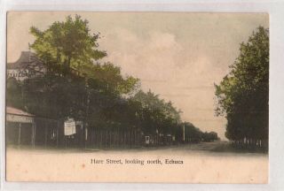 Vintage Postcard Hare Street,  Looking North,  Echuca Victoria 1900s
