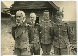 Russian Wwii Large Size Press Photo: Captive German Soldiers