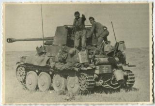 German Wwii Archive Photo: Marder Iii Tank Destroyer At Battlefield