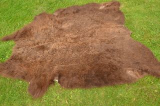 Large Vintage Buffalo Hide Bison Leather Rug Native Robe Man Cave Wall 90 " X 72 "