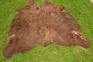 LARGE Vintage BUFFALO HIDE Bison Leather RUG Native Robe Man Cave Wall 90 