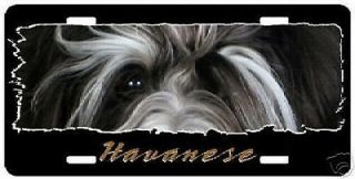 Havanese 2 " The Eyes Have It " License Plate