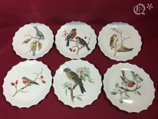 Vintage Set Of 6 Limoges France Birds Porcelain Plates