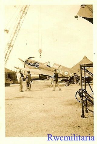 Org.  Photo: Recovery Of Crashed Rcaf No.  118 Squadron P - 40 Fighter Plane (1)