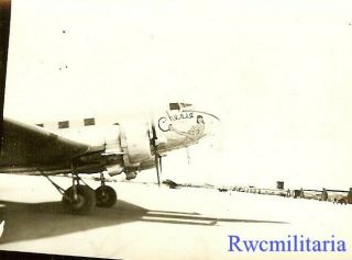 Org.  Nose Art Photo: C - 47 Transport Plane " Cherie "