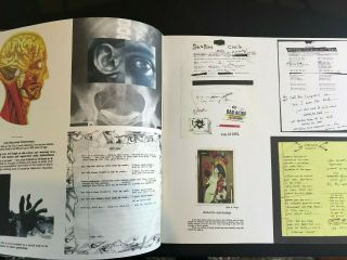 Pearl Jam - Vitalogy (E 66900) NM Vinyl Record LP - With Insert Booklet - 1994 3