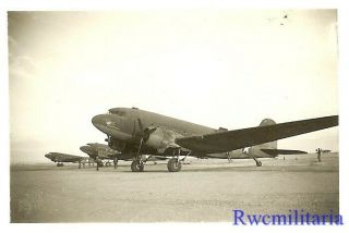 Org.  Photo: Usaac C - 47 Transport Planes Lined Up In Open On Airfield (2)