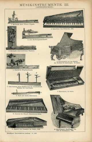 1895 Old Musical Stringed Instruments Music Antique Engraving Print
