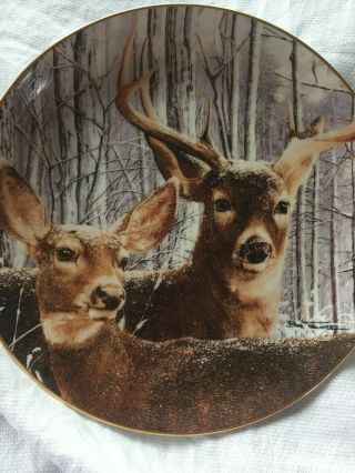 Danbury - Deer Plate - Bob Travers - Pride Of The Wilderness - Snowy Alert