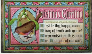 Luke Limner Goodall Victorian Christmas Card Bird Robin Religious Verse 1872.