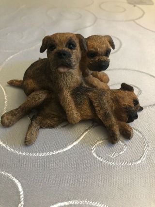 Dogs & Pups Galore 83838 Border Terrier Pups By Border Fine Arts