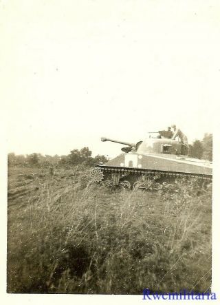 Port.  Photo: Best Us M4 Sherman Tank In Field W/ Neat Design Painted On Hull