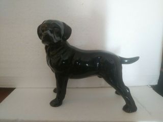 Ceramic Male Black Lab Collectible Figurine Standing 6.  5 " Tall And 9 " Long