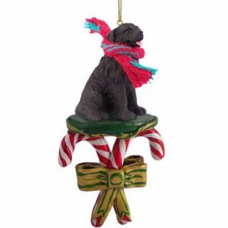 Newfoundland Dog Candy Cane Christmas Tree Ornament