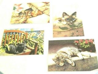 Cat Blank Notecards In Tin 12 Count 4 Designs Stickers Envelopes Glossy Gift