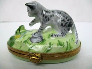 LIMOGES Trinket Box - Grey striped Cat playing W/ Frog Peint Main ARTORIA 2