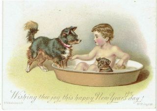 H Maguire Victorian Year Greetings Card Boy In Bath Two Dogs Hildesheimer