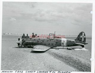 V726 Ww2 Imperial War Museum Photo Italian Macchi C202 Crash Landing El Alamein