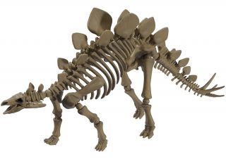 Pose Skeleton Dinosaur Action Figure 103 Stegosaurus Re - Ment Japan