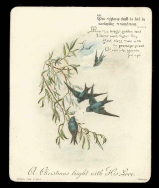 U28 - Swallows - Religious Motto - Raphael Tuck - Victorian Christmas Card