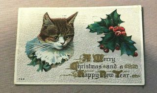 C1911 Merry Christmas Happy Year Embossed Cat & Holly Signed Posted Dated