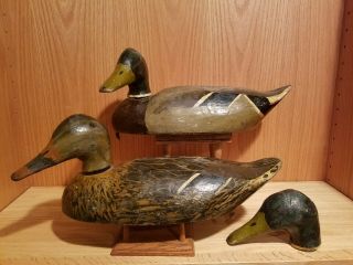 Stylish Old Louisiana Mallard Wood Duck Decoy Pair Extra Head