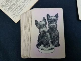 Complete Deck Scottie Scotty Terrier Dogs Arrco Playing Cards Pink Chicago Usa