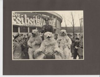 Large 7 " X 5 " Ww2 German Photo Of Polar Bear Costumed Soldiers Riding Motorcycle