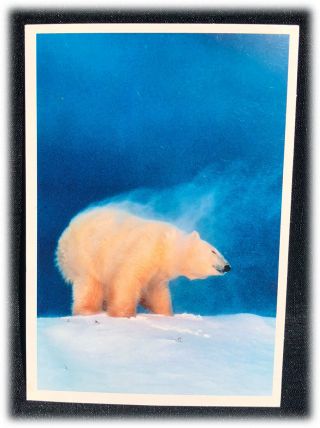 Vintage Hallmark White Polar Bear North Pole Heave & Nature Sing Christmas Card
